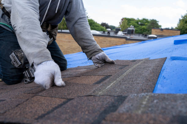 Roof Gutter Cleaning in Hico, TX